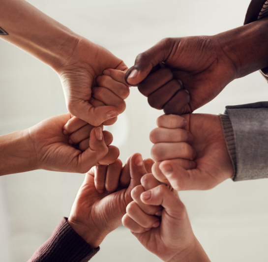 diverse team